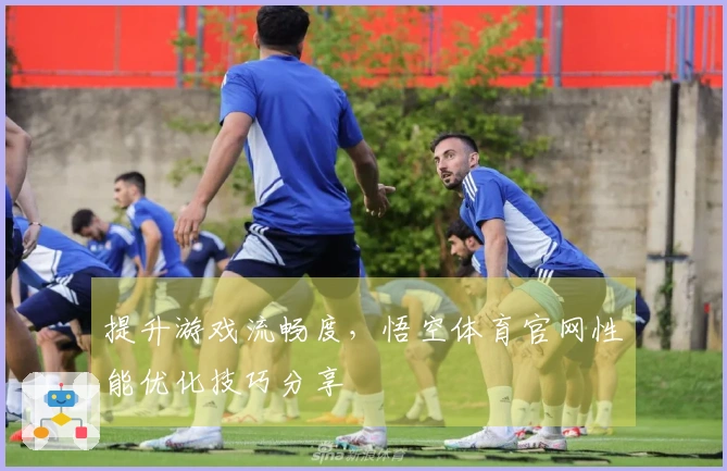 提升游戏流畅度，悟空体育官网性能优化技巧分享