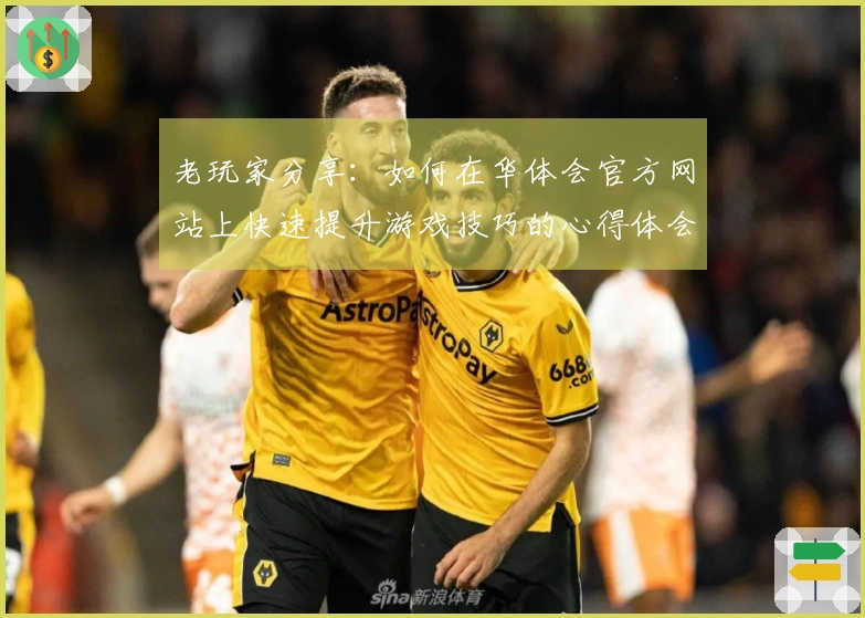 老玩家分享：如何在华体会官方网站上快速提升游戏技巧的心得体会